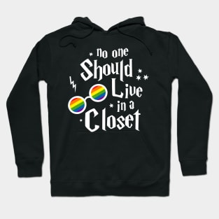 No one should live in a closet Hoodie